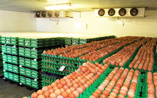 鮮蛋冷庫(kù) 鮮蛋冷庫(kù)